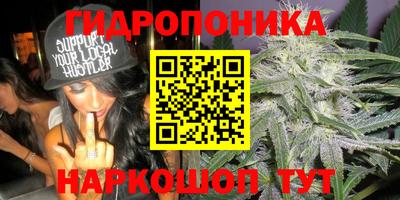 MDMA Можга