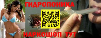 MDMA Можга